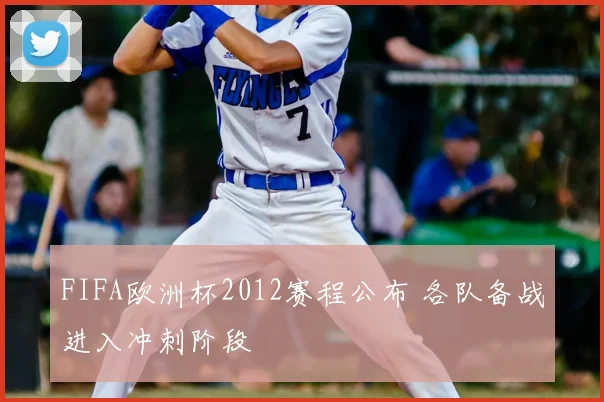 FIFA欧洲杯2012赛程公布 各队备战进入冲刺阶段