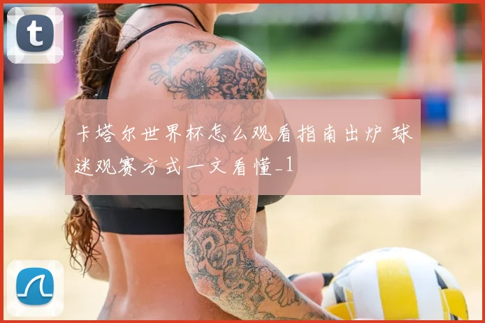 卡塔尔世界杯怎么观看指南出炉 球迷观赛方式一文看懂_1