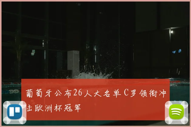 葡萄牙公布26人大名单 C罗领衔冲击欧洲杯冠军